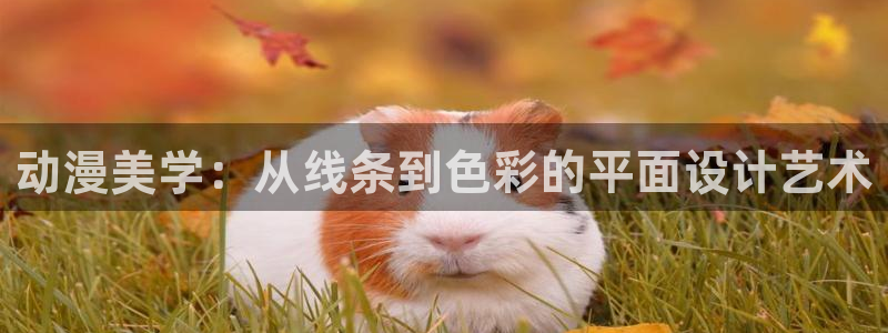 动漫屋接口数据异常怎么解决：动漫美学：从线条到色彩的平面设计艺术