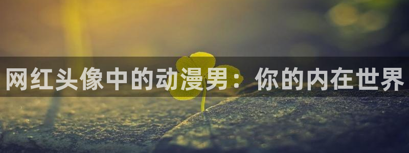 动漫屋官网下载：网红头像中的动漫男：你的内在世界