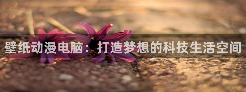 4k动漫屋：壁纸动漫电脑：打造梦想的科技生活空间