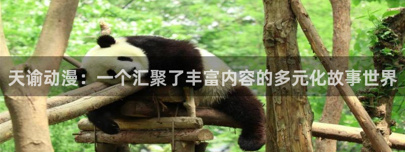 动漫屋app下载安装：天谕动漫：一个汇聚了丰富内容的多元化故事世界